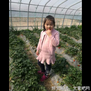 乱一说到只浮华&amp;在事一生情缘的优美句子
