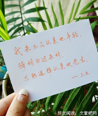 关于三毛的句子