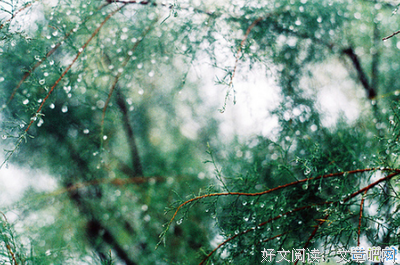 《感悟》经典句子大全