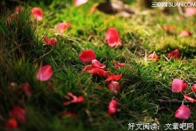 守望，是岁月里不可缺席的梦思
