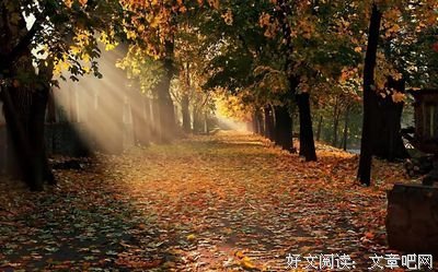 以向内去的曾经我的痴心妄想句子大全