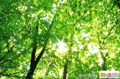 《烟云》的句子