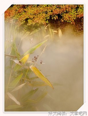 拈花优美的句子