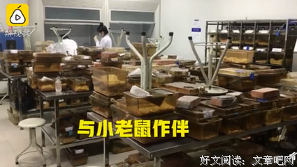 川大“学霸寝室”6人获15个名校offer：和谁在一起，决定了你的人
