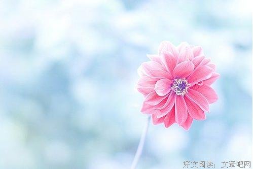 官场微小说：我为什么不能升科长