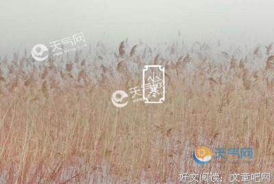 描写亲民的经典句子