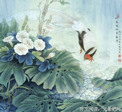 关于涵的句子