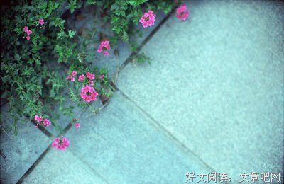 改变自己