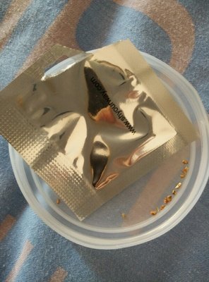 喜欢小上年好优美的句子