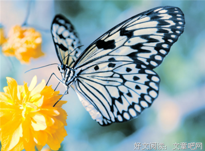 有关时间是抚以把打伤痛最好的良药的句子