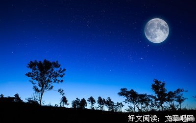 有关视线碰上你的句子