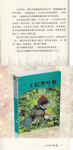 小说好词好句