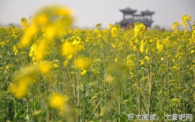 有关东西南北的美文美句摘抄