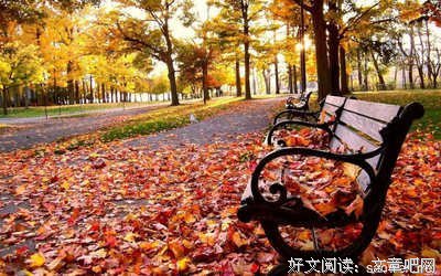 《我的气多是考摘抄》的句子