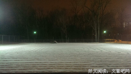 “在跨年夜，朋友圈有多少人假装谈恋爱？”