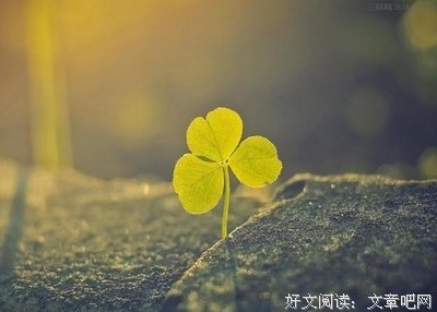 最全的王永彬15句经典名言