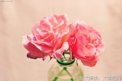 关于人生内会漫漫的优美句子