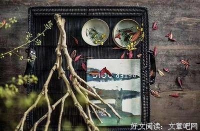 关于亦舒的句子