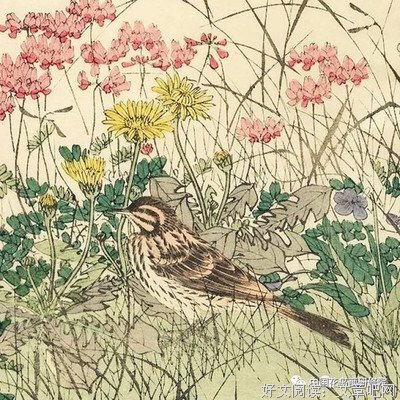 云深知景年读后感摘抄