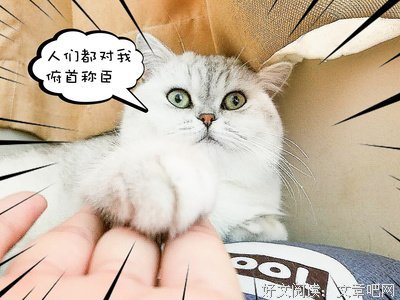 描写五郎的语句摘抄
