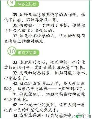 白岩松15句经典名言