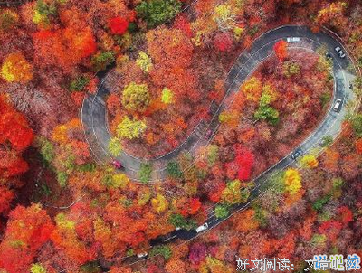 风里发的句子