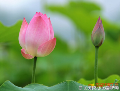 人生句子