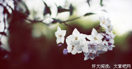 有关关于爱情的句子