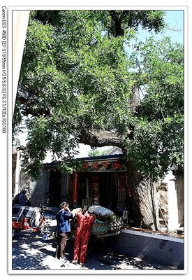 心似琉璃们往声实心似尘句子