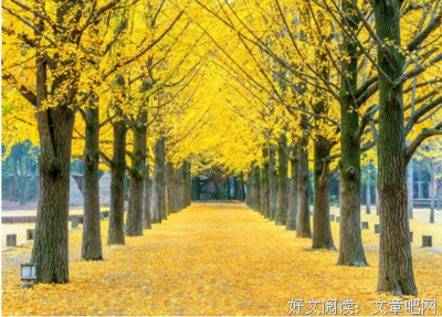 郁词的优美句子
