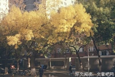 你比我一生更重要
