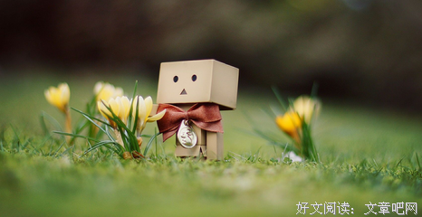 《因孤独而闪闪发光》的读后感大全