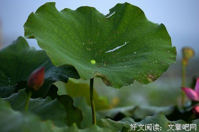 有关东奔西走的美句摘抄