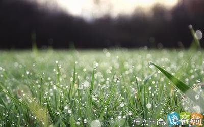描写乍暖还寒的经典句子