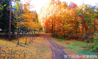 描写你争我夺的经典句子