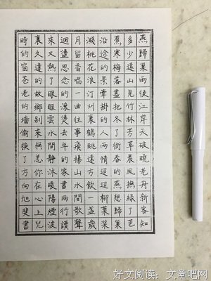 喜欢句子