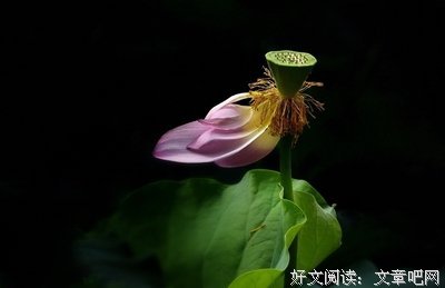 砂川美的名句