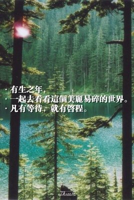最经典的《暧昧》好段摘抄