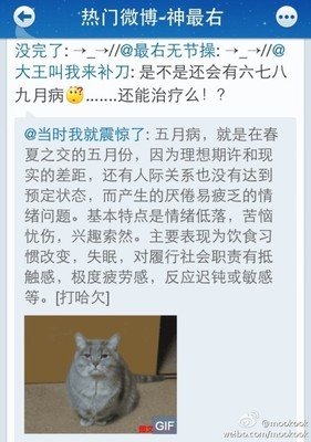最新的《最右》经典句子大全