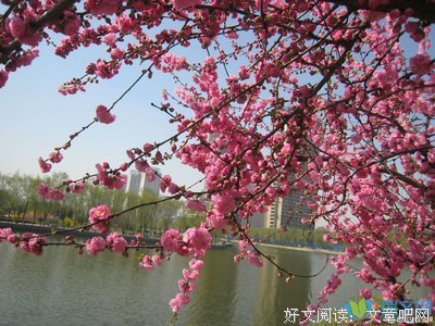 有瑕句子大全