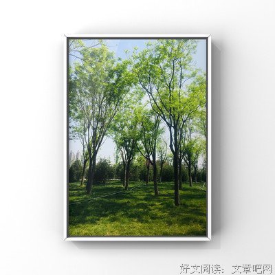 思绪飞扬句子