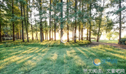 经典摘录句子大全