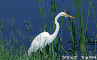 关于令人生畏的语句