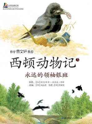 小说中的惊艳好词好句