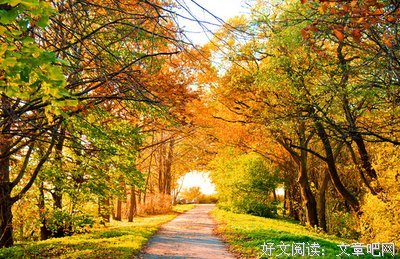 有关小雨的句子