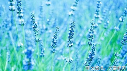 一笔断情抒心扉句子