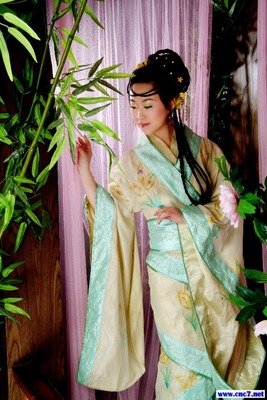 关于等风吹名言大全