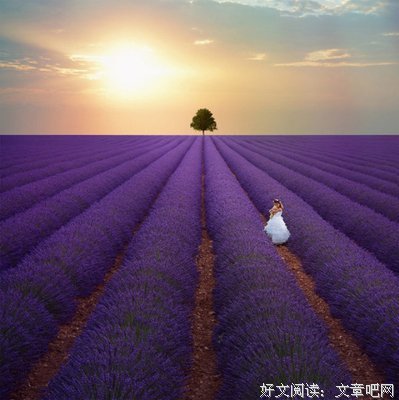 《朋友》名句欣赏