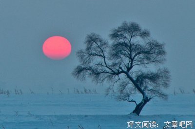 等风来经典名句