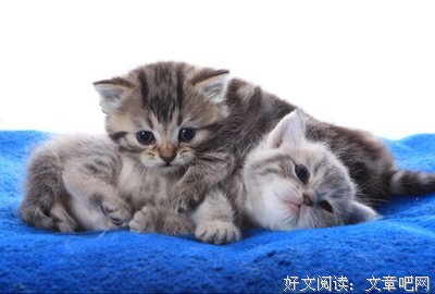 有关假如时光倒流的句子
